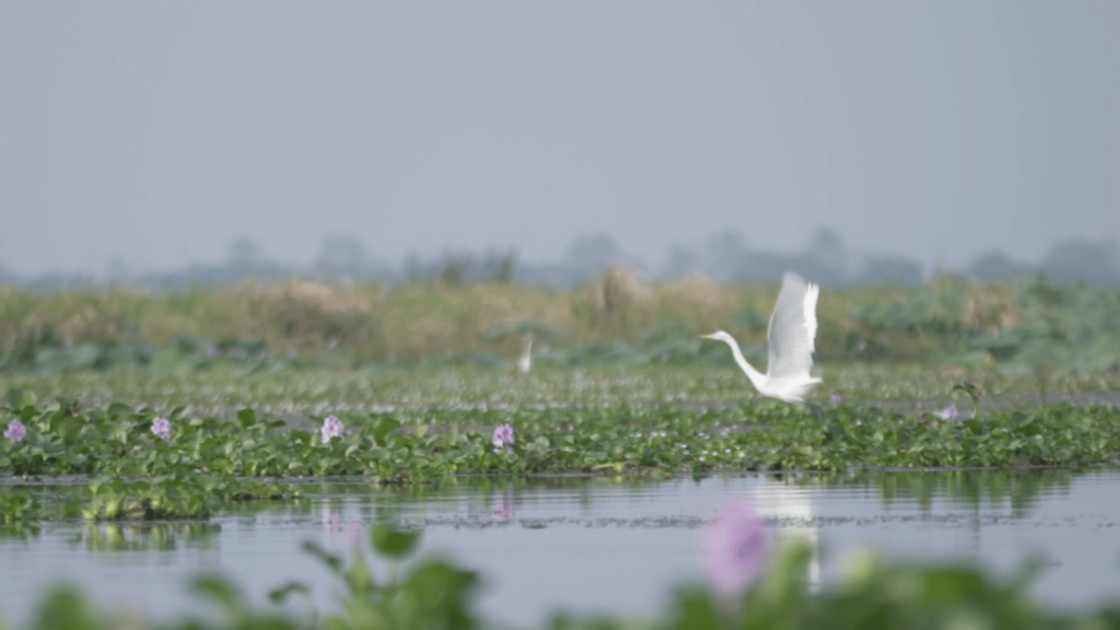 Yangtze River comes to Gatwick Airport