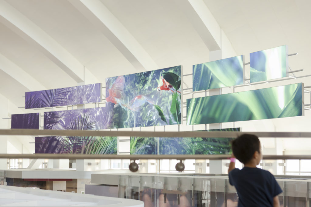 Revealed: The business benefits of audio-visual experiences