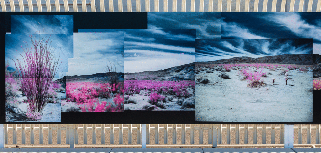 Creative projects unveiled in San Diego