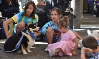 Therapy dogs for John Wayne