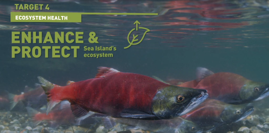 Vancouver’s eco plans revealed