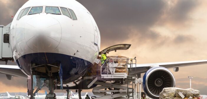 IATA and ICP to deploy pre-loading advance cargo information system in UAE