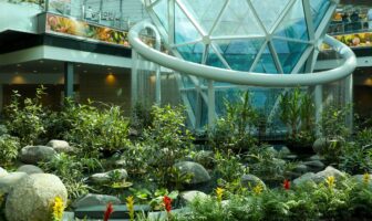 Hamad Airport unveils expansion project featuring tropical garden
