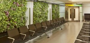 How living walls can transform terminals from ‘non-places’ to natural space