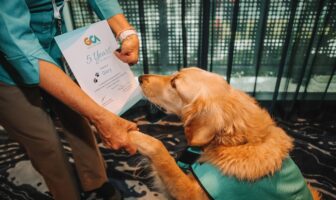 Gold Coast Airport to recruit five more therapy dogs