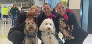 Brisbane Airport trials therapy dogs