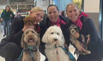 Brisbane Airport trials therapy dogs