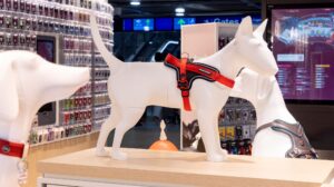 Düsseldorf Airport opens pet accessory shop