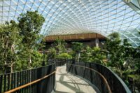 Hamad International Airport Hamad International Airport