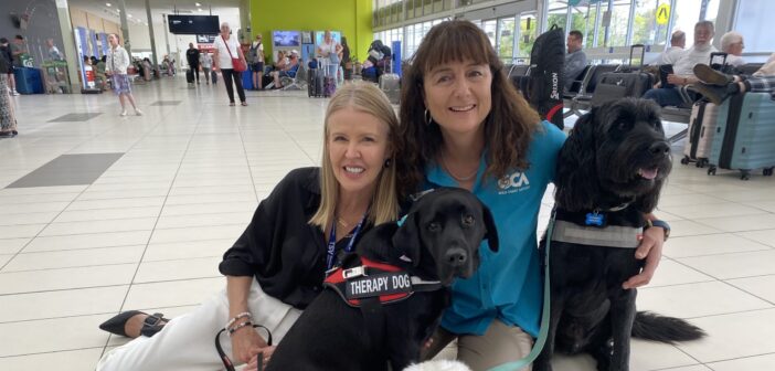 Gold Coast Airport hires three more therapy dogs