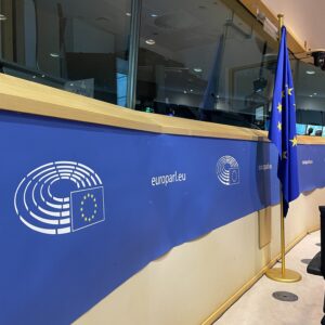 SEA presents finalized electrification project to EU Parliament