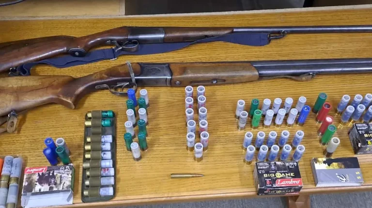 Joint operation at air and land borders seizes forged documents, firearms and narcotics