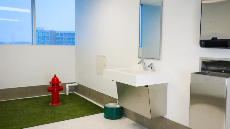 Ford Airport opens post-security animal relief area