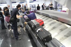 Samsonite donates luggage to help CBP train detection dogs