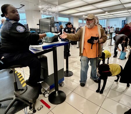 A TSA staff member hands back travel documents to a passenger with two black detection dogs.
