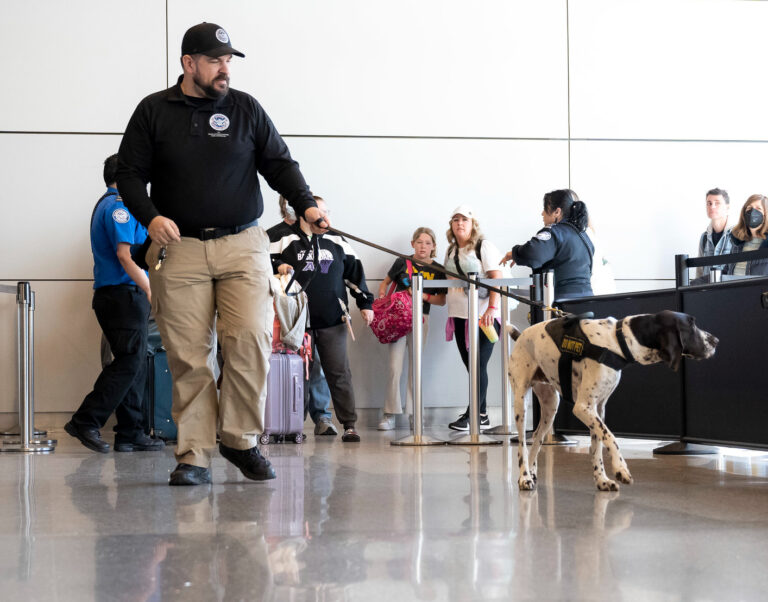 DHS releases market survey report on non-detonable training aids for explosive detection canines A man and a dog, both in DHS uniform, patrol an airport terminal.