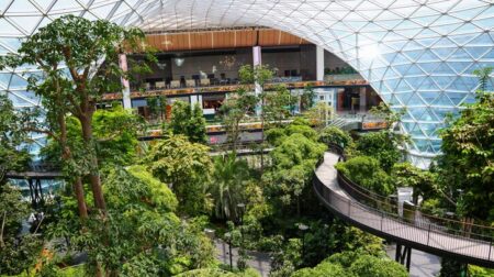 Hamad International Airport Orchard garden